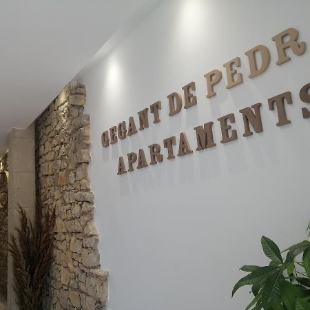Gegant De Pedra Apartaments Adzaneta 外观 照片